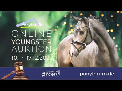 CUPCAKE W 2j. Wallach v. FS Champion de Luxe / Bon Jovi