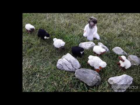 Der Hirte und seine Schafe