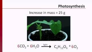 Conservation of Mass