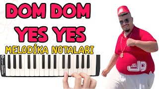 DOM DOM YES YES Melodika Notaları - Ses Veriyorum