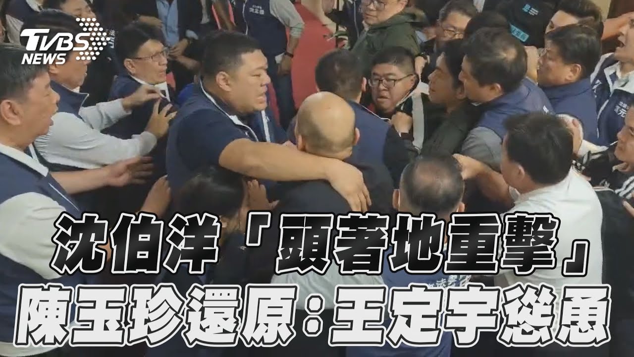 立院亂/沈伯洋「頭著地重擊」 陳玉珍還原真相:王定宇慫恿的