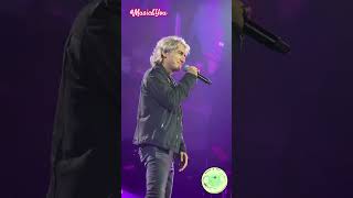 Bambolina Barracuda Live - Ligabue #bambolinabarracuda #ligabue #lyrics #live #concerto