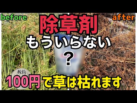 春になったら除草剤を撒いたほうがいいでしょうか?すべきこととしてはいけないこと  庭園