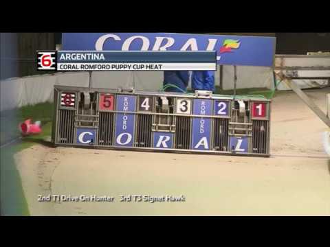 2018 ROMFORD PUPPY CUP - HEAT 2 - T6 ARGENTINA