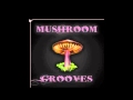 Mushroom Jazz 4 - Keep Your Head Up - Laurnea