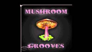 Mushroom Jazz 4 - Keep Your Head Up - Laurnea