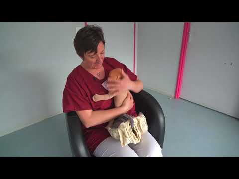 Maternité Jeanne De Flandre - Préparation à la naissance : L'accouchement