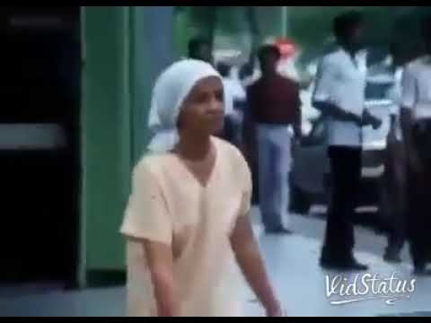 Animals are better than Humans