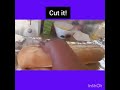 How To Make An Easy And Healthy Sandwich By Ukay S Activities
