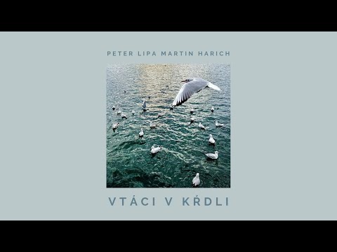 Vtáci v kŕdli - Martin Harich feat. Peter Lipa (lyrics video)