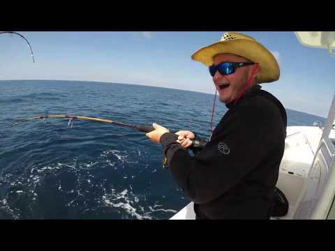 Insane Top Water Bite - Sea Born SX239