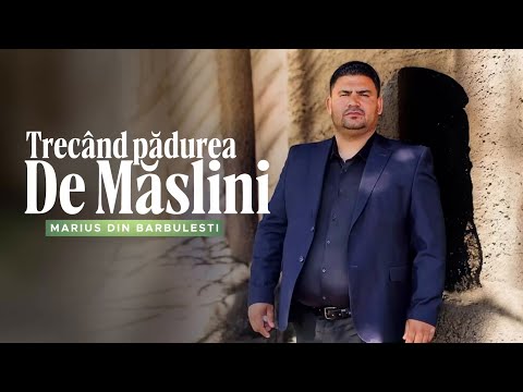 Marius din Barbulesti-Trecând Pădurea de Măslini/Nou 2025