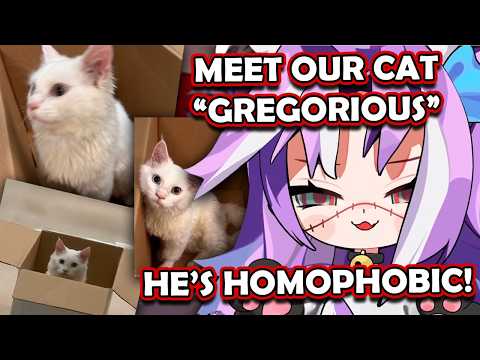 Michi Finally Got a Cat After 3 Years!..