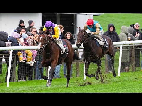 Hanover: Shadwell Stallions - Autumn Mare Prize 2025 Winner: Santagada