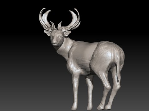 30 Minutes Zbrush Sculpting 110 Deer