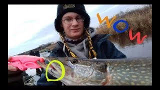 Ловля на бороду каша