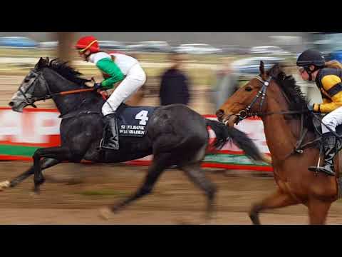 Sonsbeck 01.04.2018 - 8.R. Preis vom Gestüt Ullenboomshof