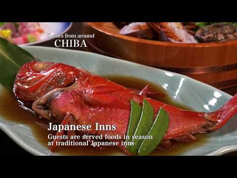 【2018】Day Trip Encounters in Chiba