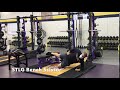 STLG Bench Scissor