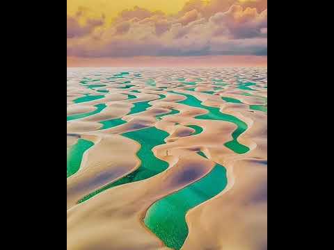 Captain Hook & Out of Orbit Zombie Dance