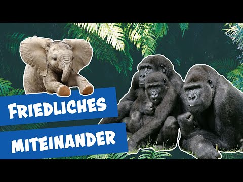 Ein Elefantenbaby im Zoo Berlin I Panda, Gorilla & Co.