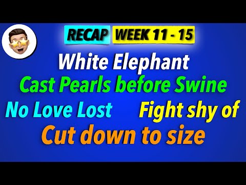 White Elephant | Cut down to size | Cast Pearls before Swine | No Love Lost | Fight shy of Idioms