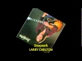 Larry Carlton   SLEEPWALK