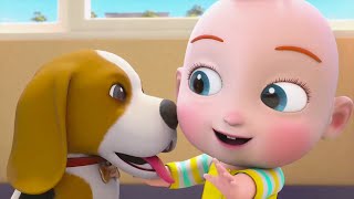Super JoJo My Home - JoJo And Bingo - Play And Learn How To Take Care Of Puppy | BabyBus Kids Games