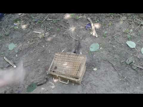 Arie sloopt een MAND!