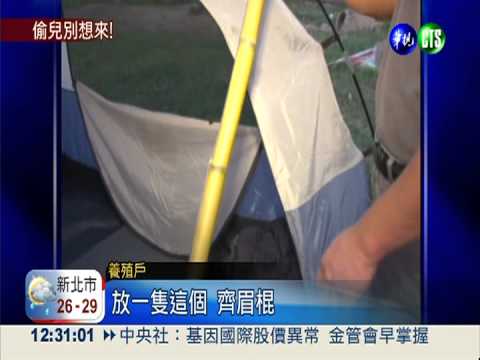 大閘蟹行情好 養殖戶搭篷防賊