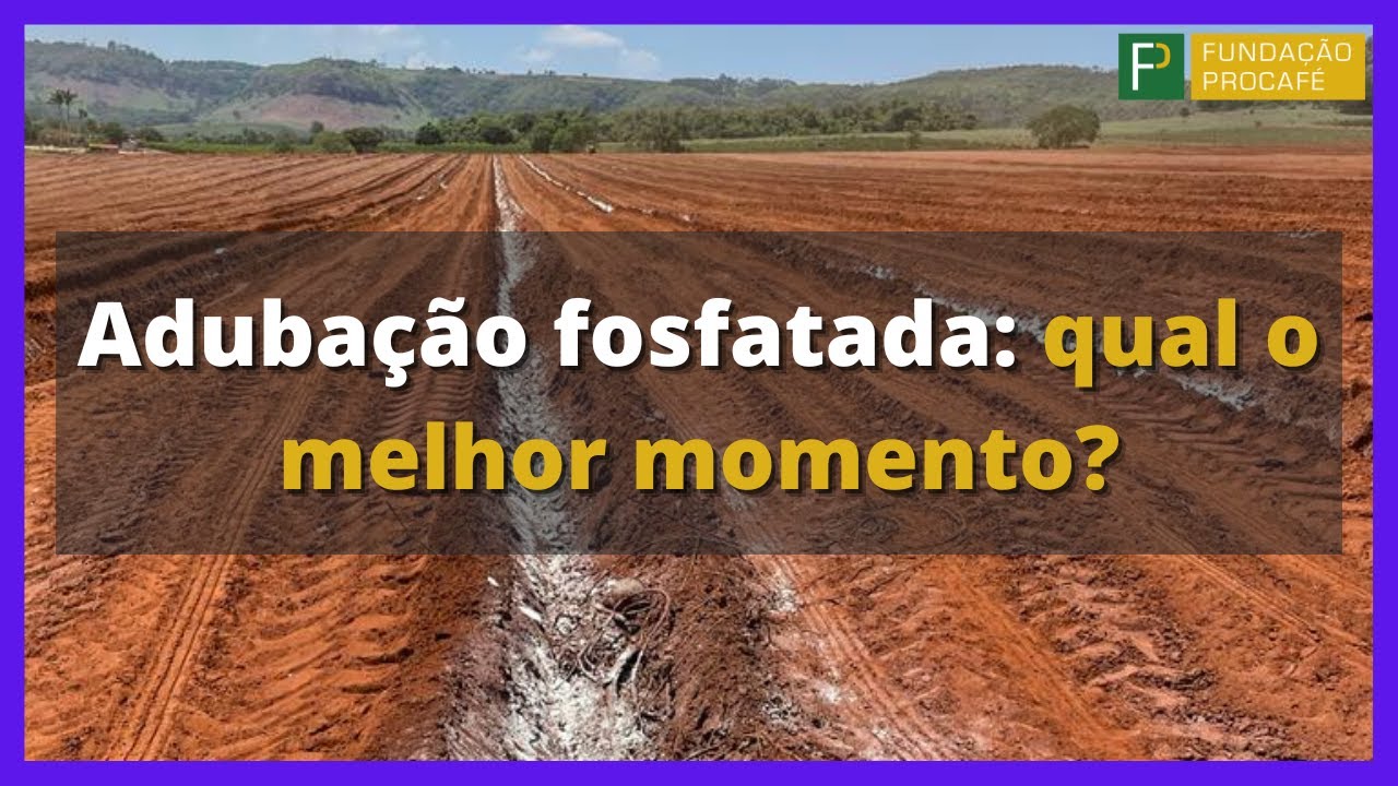 Podcast #57 - Adubação  fosfatada: qual o melhor momento?