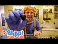 Blippi Visits A Chocolate Shop Yummy Chocolate Surprise Blippi Kids Songs Moonbug Kids
