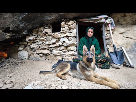 "Wilderness Wonders: A Nature Adventure with My Dog"