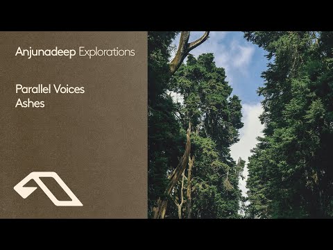 Parallel Voices - Ashes