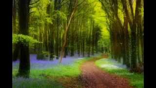 Beautiful  South East Ireland.