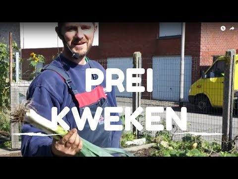 download lagu mp3 mp4 Telen App, download mp3 Telen App free download, download mp3 Telen App