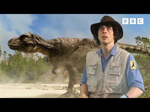 The Tallest Dinosaurs | Andy's Dinosaur Adventures | Andy's Amazing Adventures