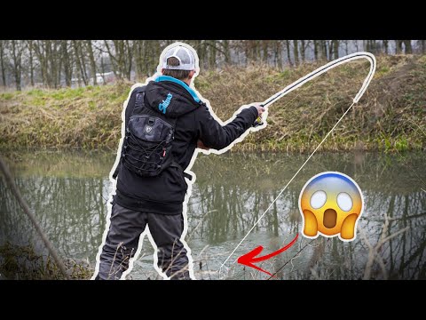 BIG PERCH ON HARD BAITS! Hard Bait challenge with three different species!!!