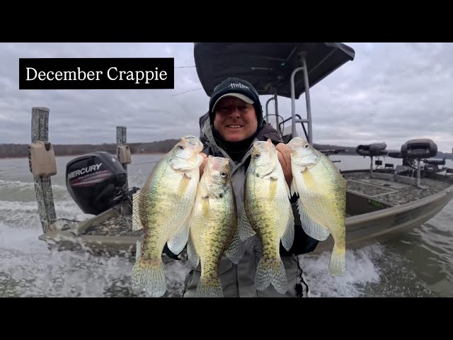 Judge.me YouTube video placeholder