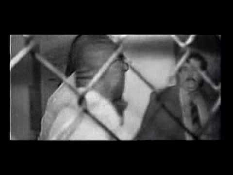 Abu Jamal Typical Fefe