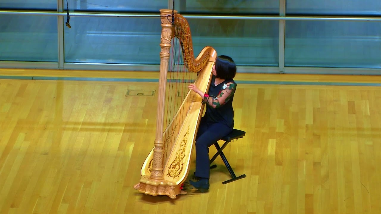 Promotional video thumbnail 1 for Harp Music