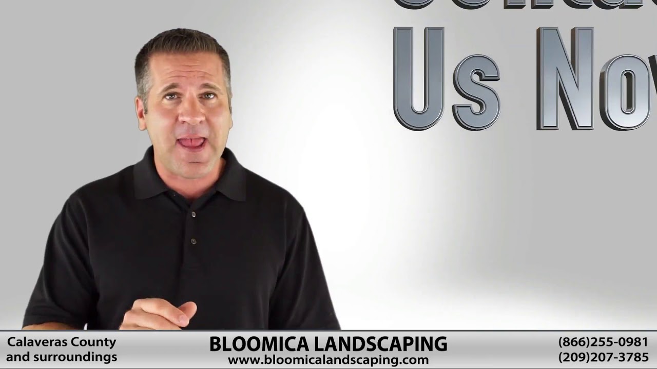 Bloomica Landscaping video thumbnail