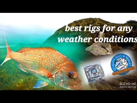 magic rigs to catch fish any days,whatever weather conditions is👌 #whirinaki #hawkesbay#nz , 🎣