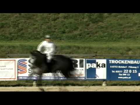 Stall Melliger young horse