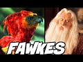 What Happened To FAWKES When Dumbledore Died Harry Potter Explained