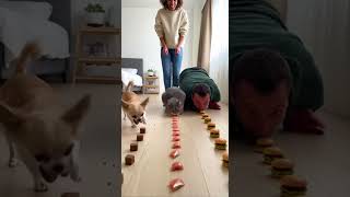 I trained my dog well and now he uses it against me 😭😂 #dog #cat #eatingchallenge #pets #food #funny