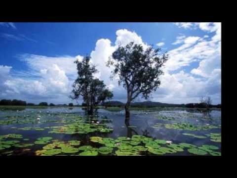 Geoffrey Gurrumul Yunupingu Wiyathul