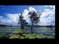 Geoffrey Gurrumul Yunupingu Wiyathul