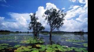 Geoffrey Gurrumul Yunupingu Wiyathul