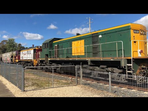 SSR 49 class locomotives on SSR grain train and AK cars.4904 4908 4910 4911 From  This year.